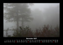 Waldzauber Fotokalender 2027 - 11
