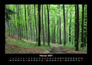 Waldzauber Fotokalender 2027 - 2