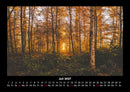 Waldzauber Fotokalender 2027 - 7