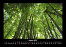 Waldzauber Fotokalender 2027 - 8