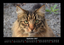 Welt der Tiere Fotokalender 2027 - 9