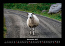 Welt der Tiere Fotokalender 2027 - 11
