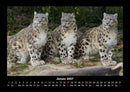 Welt der Tiere Fotokalender 2027 - 1
