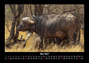 Welt der Tiere Fotokalender 2027 - 5
