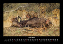 Welt der Tiere Fotokalender 2027 - 6