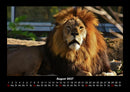 Welt der Tiere Fotokalender 2027 - 8