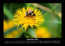Bien Fotokalender 2027 - 9