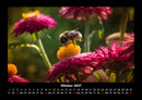 Bien Fotokalender 2027 - 10