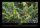 Naturlandschaften Fotokalender 2027 - 7