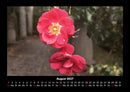 Blumenträume Fotokalender 2027 - 8