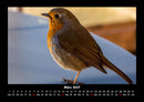 Der Tierkalender Fotokalender 2027 - 3