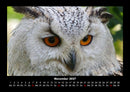 Vogelparadies Fotokalender 2027 - 11