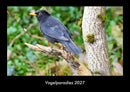Vogelparadies Fotokalender 2027 - Hauptbild
