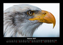 Vogelparadies Fotokalender 2027 - 2