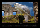 Vogelparadies Fotokalender 2027 - 3