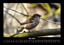 Vogelparadies Fotokalender 2027 - 5
