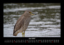 Vogelparadies Fotokalender 2027 - 6