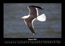 Vogelparadies Fotokalender 2027 - 8