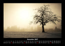 Bäume Fotokalender 2027 - 12