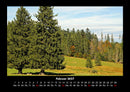 Bäume Fotokalender 2027 - 2
