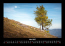 Bäume Fotokalender 2027 - 5