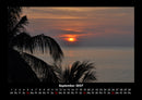 Palmentraum Fotokalender 2027 - 9