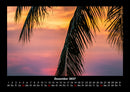 Palmentraum Fotokalender 2027 - 12