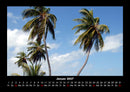Palmentraum Fotokalender 2027 - 1