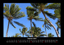 Palmentraum Fotokalender 2027 - 2