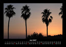 Palmentraum Fotokalender 2027 - 6
