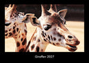 Giraffen Fotokalender 2027 - Hauptbild