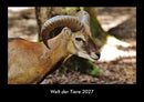 Welt der Tiere Fotokalender 2027 - Hauptbild