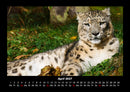 Welt der Tiere Fotokalender 2027 - 4