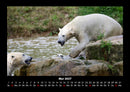 Welt der Tiere Fotokalender 2027 - 5