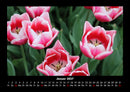 Natur Fotokalender 2027 - 1