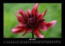 Natur Fotokalender 2027 - 5