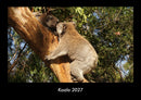 Koala Fotokalender 2027 - Hauptbild