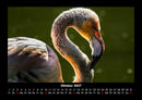 Vogelparadies Fotokalender 2027 - 10
