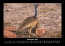 Vogelparadies Fotokalender 2027 - 11