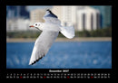 Vogelparadies Fotokalender 2027 - 12