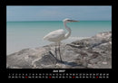 Vogelparadies Fotokalender 2027 - 6