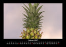 Obstkalender Fotokalender 2027 - 2