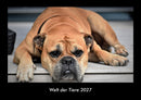 Welt der Tiere Fotokalender 2027 - Hauptbild