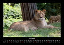 Welt der Tiere Fotokalender 2027 - 7