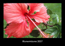 Blumenträume Fotokalender 2027 - Hauptbild