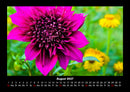 Blumenträume Fotokalender 2027 - 8