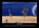 Giraffen Fotokalender 2027 - 2