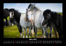 Pferdegeflüster Fotokalender 2027 - 3