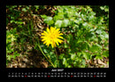 Naturlandschaften Fotokalender 2027 - 6