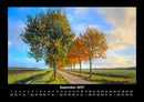 Bäume Fotokalender 2027 - 9